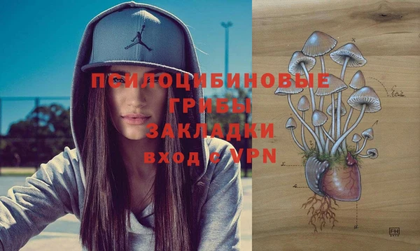 гидра Ладушкин