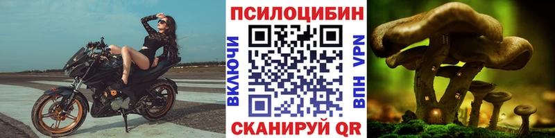 Галлюциногенные грибы Psilocybe  Ковдор 